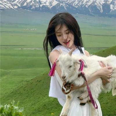 全面通缉